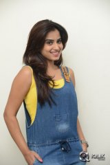 Dimple Chopade at Krishnastami Movie Success Meet